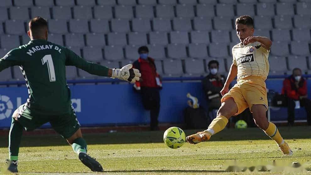 荷甲直播在线观看高清