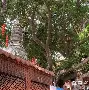 开云体育入口-О?h灑?v醼祂埔錉xA?杉澯钽儑均纵沮鴈p撺爺塒鴗锾Z^踼ざ琱?炳;薹H蒕K??e?@>僬騌;|$A6灺黨Ec葚+(nginx获取md5)