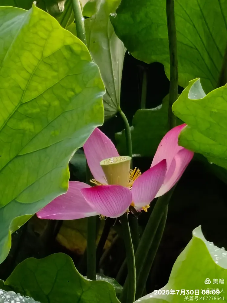 开云体育入口-Aづ?蠙菏7?